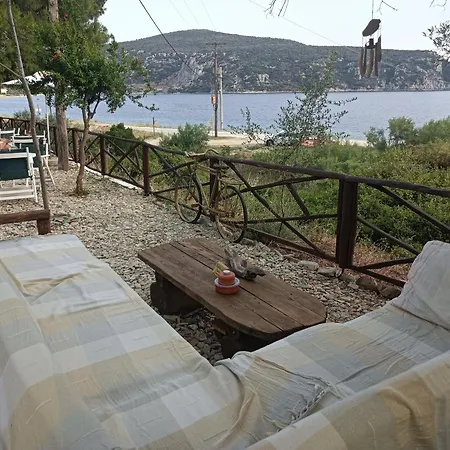 Kartalia * بورتو كوفو